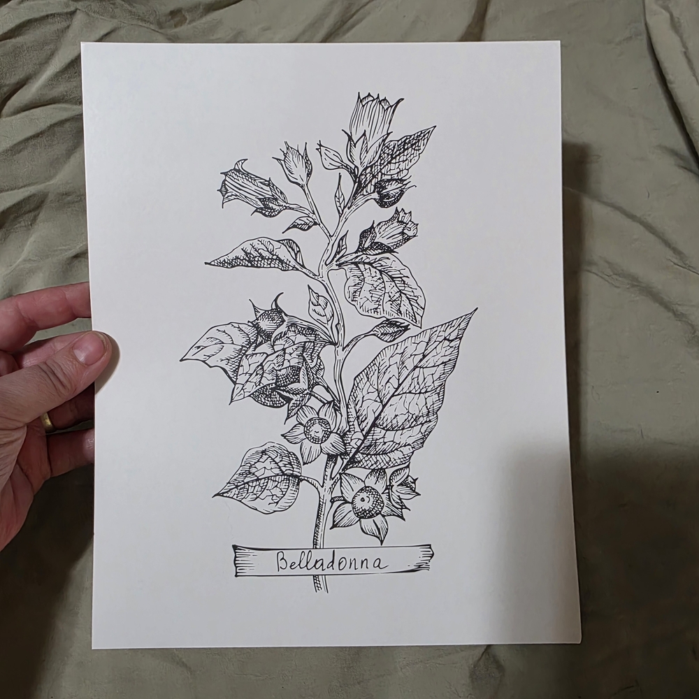 5/20$ Belladonna Botanical Art Print - Black and White